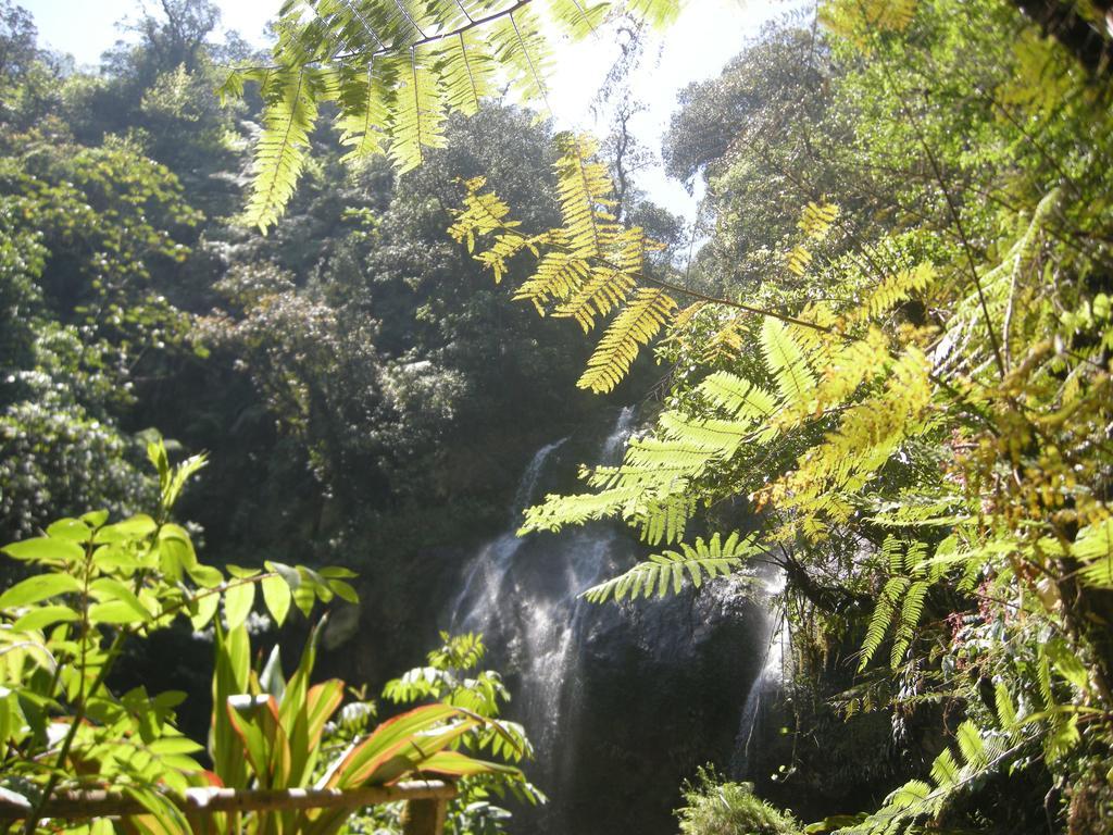 Posada Ammi Cuetzalán del Progreso Exteriör bild